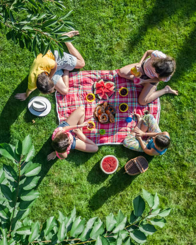 Friends having a picnic near Bateswood Manor in Houston, Texas