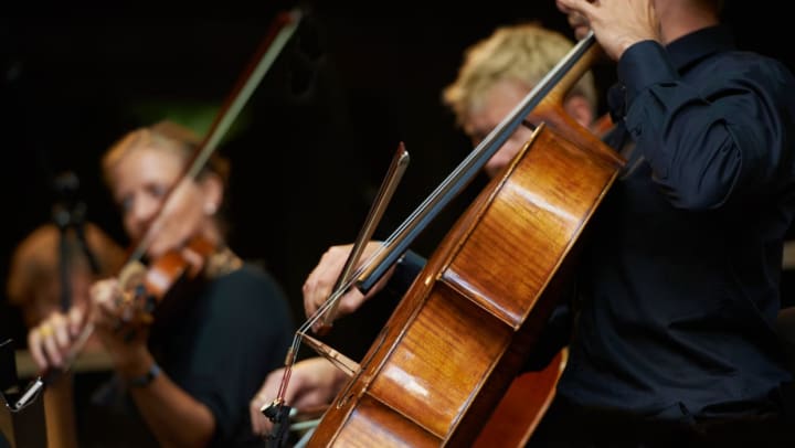 Close-up of the strings section of a live orchestra