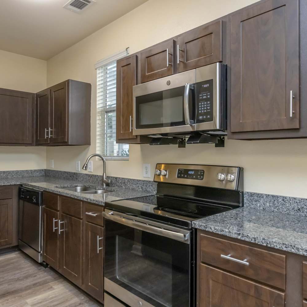 Model kitchen with stainless-steel appliances at Camellia in Raleigh, North Carolina