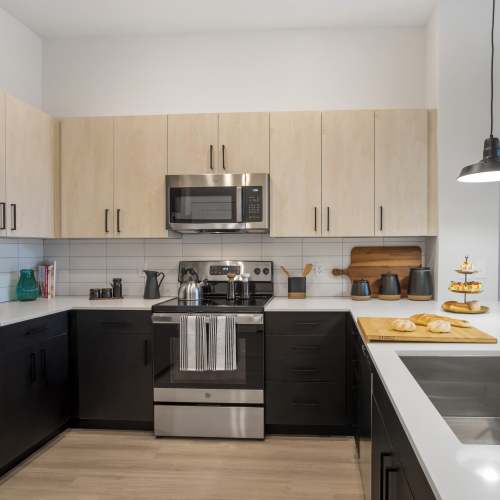 Stainless-steel appliances in the apartment kitchen at The Oliver in Charlotte, North Carolina