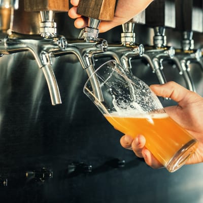 Beer on tap near Echelon at Odenton in Odenton, Maryland