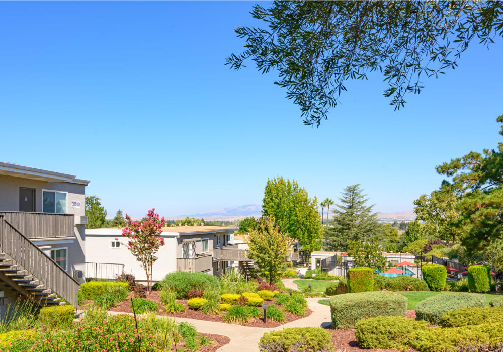 Scenic hillside community with well-manicured greenery at Pleasanton Heights in Pleasanton, California