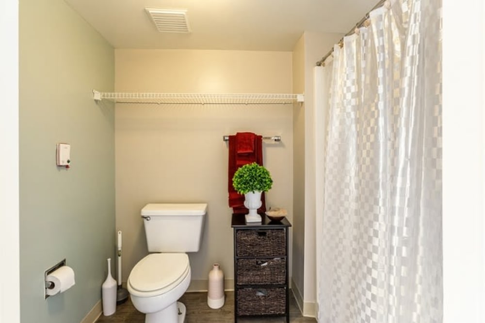 A decorated bathroom at Grand Villa of Sarasota in Sarasota, Florida