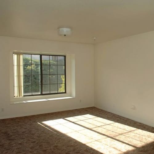 A living room with window lighting in a home at Eucalyptus Ridge in Lakeside, California