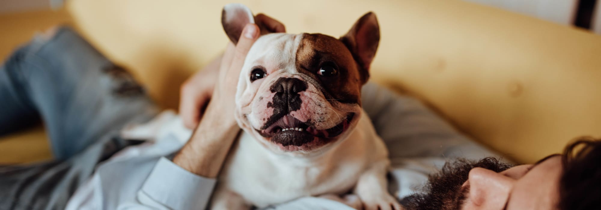 Pet-friendly apartments at Hickory Creek in Columbus, Ohio