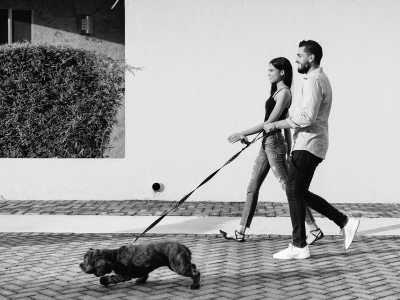 A couple taking their pet dog for a walk at Flatiron District at Austin Ranch, The Colony, Texas