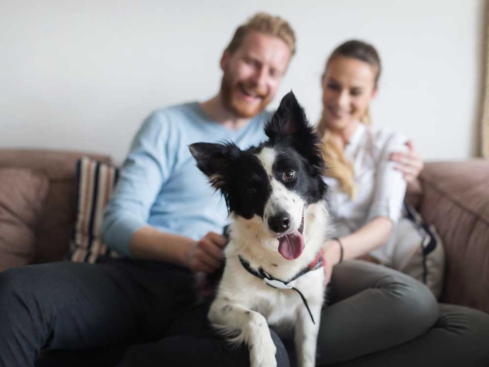 Resident couple with their pet dog at Flats on Fifth in Louisville, Kentucky 