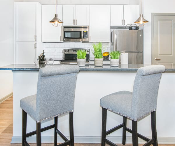 Beautiful kitchen at 400 RHETT in Greenville, South Carolina