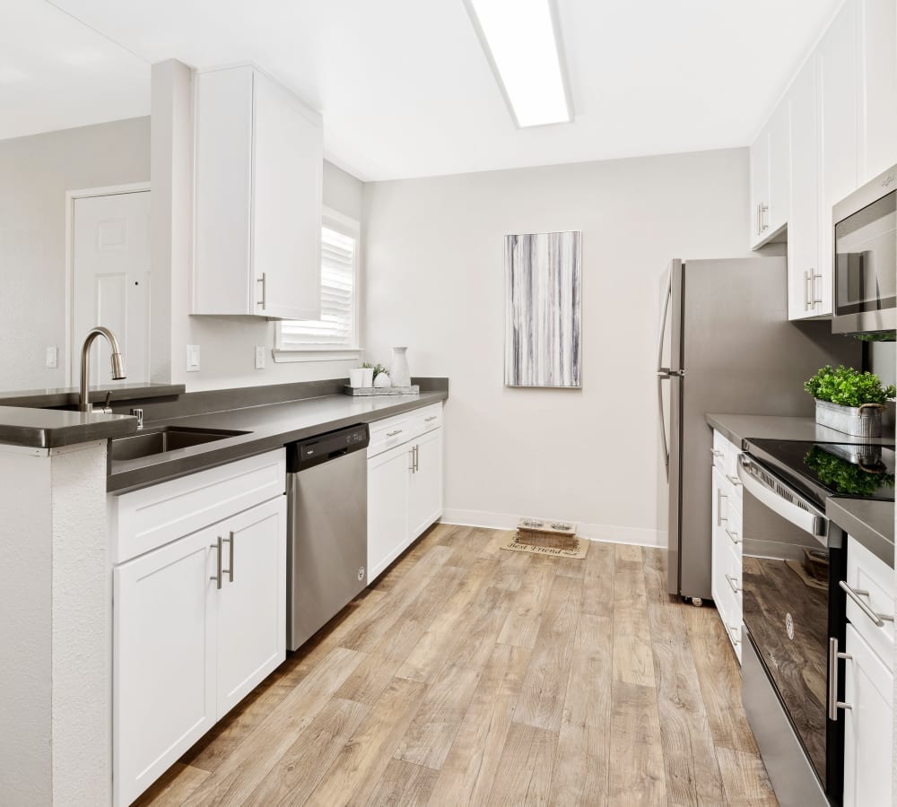 Luxury apartments with a kitchen at Shaliko