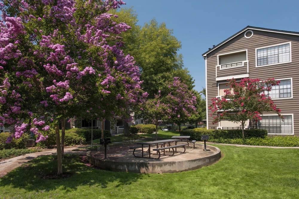 Beautifully manicured lawned at The Reserve at Capital Center Apartment Homes in Rancho Cordova, California