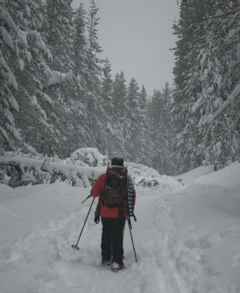a person snowshoeing down a path. image is from behind and shows the back of the person