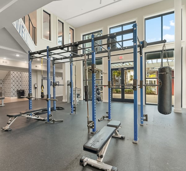 Interior of the fitness center at The Lively Indigo Run in Ladson, South Carolina