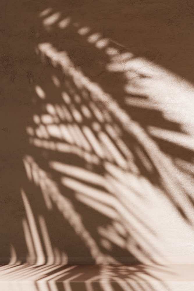 Shadow of a palm tree at Sulzbacher Village in Jacksonville, Florida