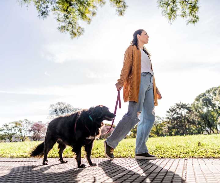 Resident exploring park with her pet near Malvern Lakes Apartments in Fredericksburg, Virginia