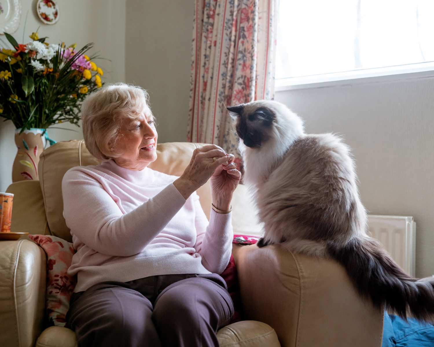 Resident with their pet cat at Birchwood Villas in Manhattan, Kansas