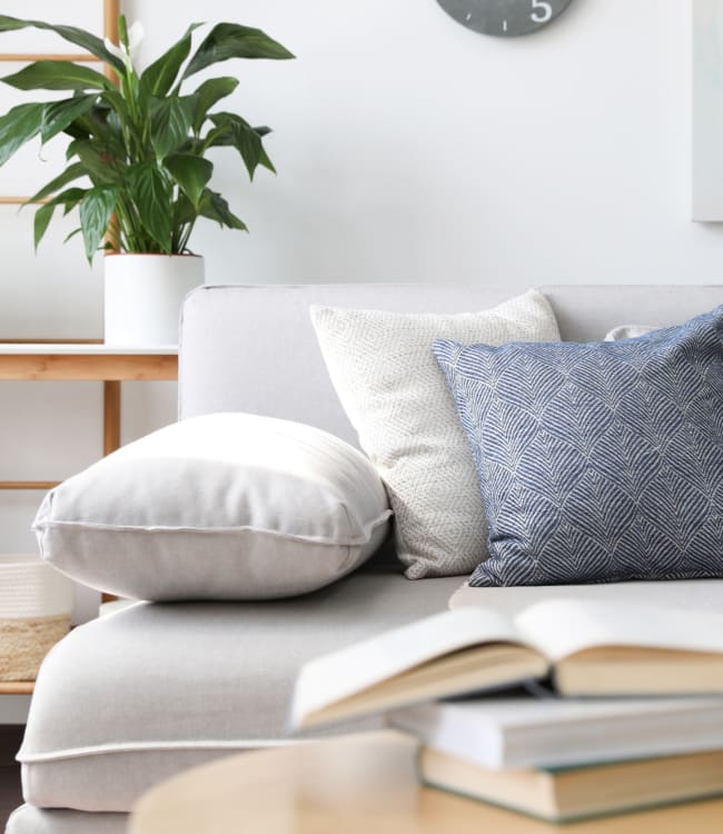 A comfortable couch in a cozy living room at Morris Glen in Alexandria, Virginia