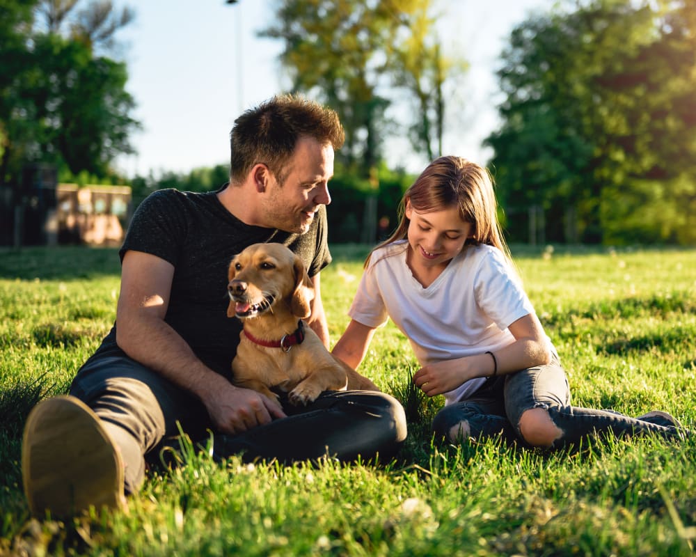 A father and his daughter hanging out with their dog in a park near El Centro New Fund Housing (Officers) in El Centro, California