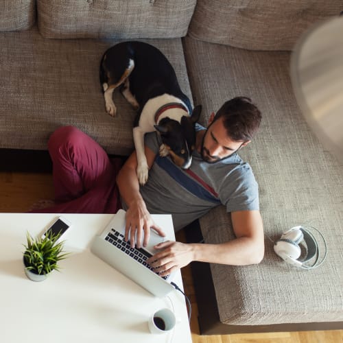 A resident working on his computer with his dog Hamilton Redoubt in Newport News, Virginia