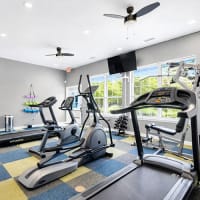 Bright fitness center featuring treadmills, ellipticals, and large windows with natural light at 43 North Apartments in Grand Haven, Michigan
