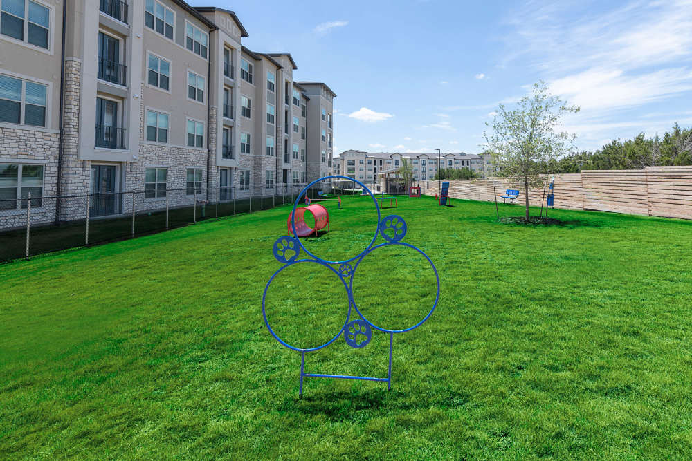 View our pet policy at Auro Crossing in Austin, Texas