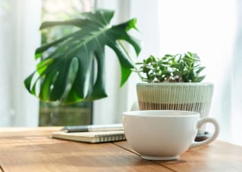 Mug, plant and notebook on a table at Adobe Lake Apartments in Concord, California 