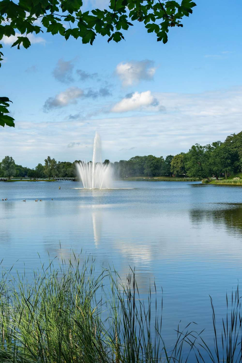 Fountain on small lake near Avion Apartments in Jacksonville, Florida