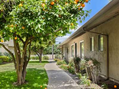 View neighborhood information for Mango Tree Apartment Homes in Santa Ana, California