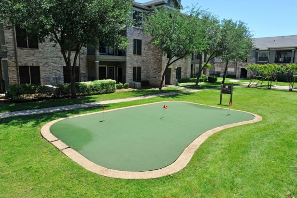 Dog park in Carrollton