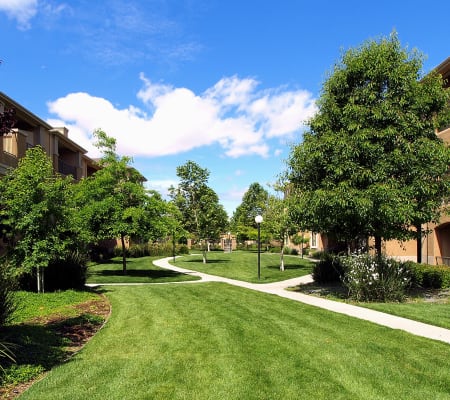 Apartment walkway surrounded by a lush landscape at Cross Pointe Apartment Homes in Antioch, California