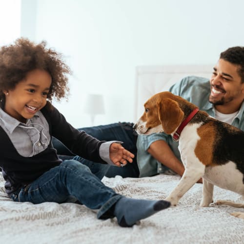 Happy dog and her owners playing together in their apartment home at Olympus Hillwood in Murfreesboro, Tennessee