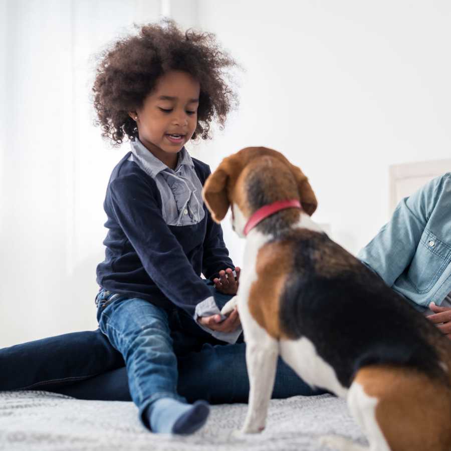 Dog playing with child Parkside in Greensboro, North Carolina