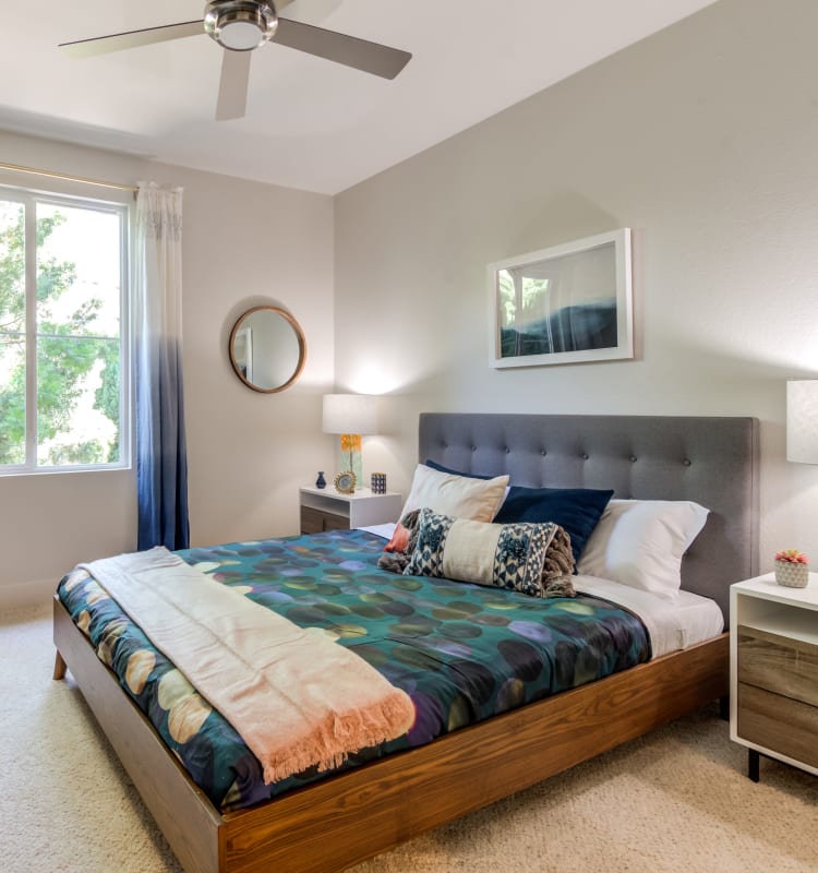 Bedroom with plush carpeting and a ceiling fan at Sofi Shadowridge in Vista, California