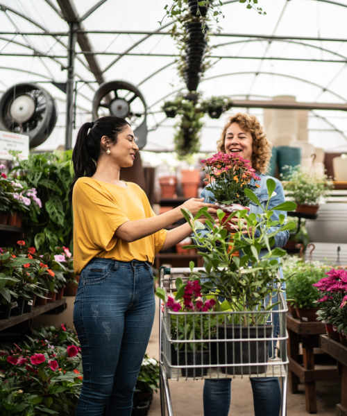 Resident buying flower pots near Fifteen in Miami, Florida