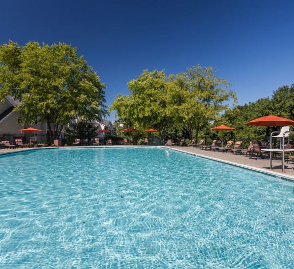 The sparkling community swimming pool at The Courts of Avalon in Pikesville, Maryland