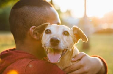 We're pet friendly at The Hills at Renaissance!