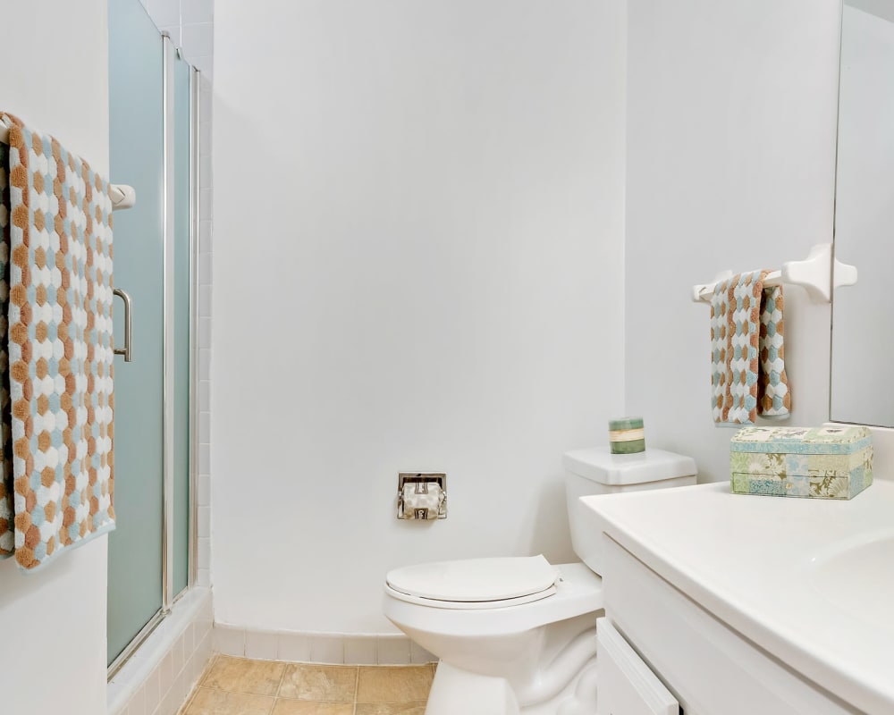 Bathroom at Park Edge Apartments | Apartments in Springfield, Massachusetts
