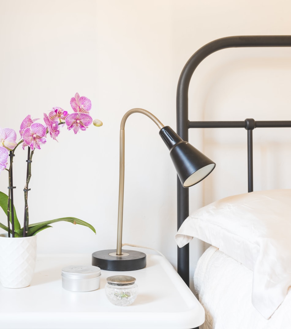 Large bedrooms at Sofi Danvers in Danvers, Massachusetts