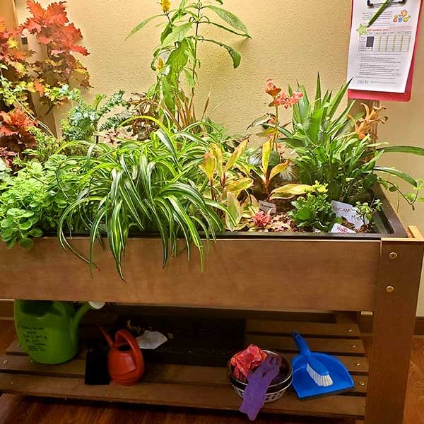 Indoor planter full of vibrant plant life at Quail Park Memory Care Residences of West Seattle in Seattle, Washington 