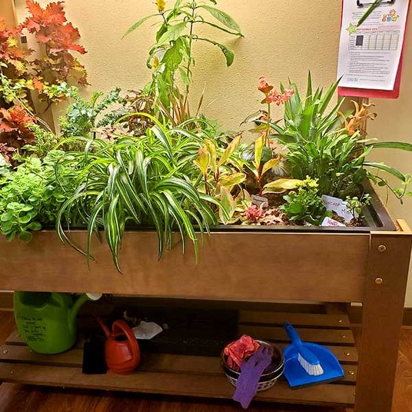 Indoor planter full of vibrant plant life at Quail Park of Granbury in Granbury, Texas