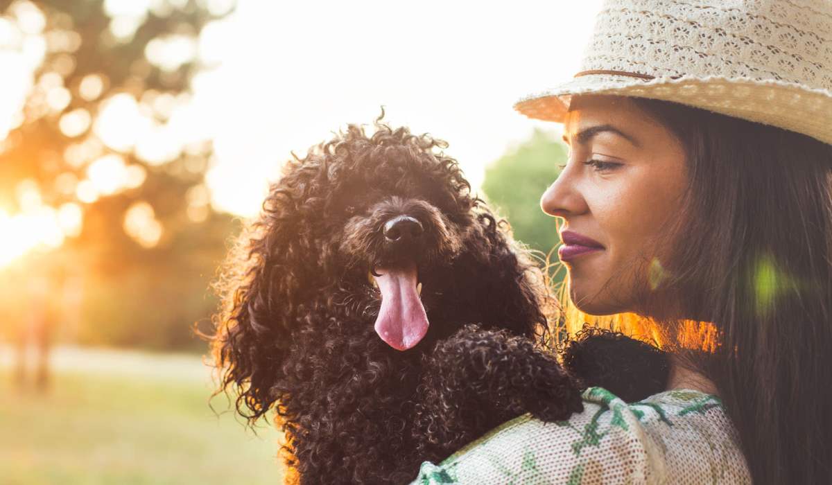 Pet-friendly community at Block Lofts in Atlanta, Georgia