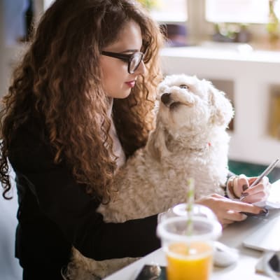 A resident with a dog in her lap working on her laptop from the resident lounge at Parkway in Joint Base Lewis McChord, Washington