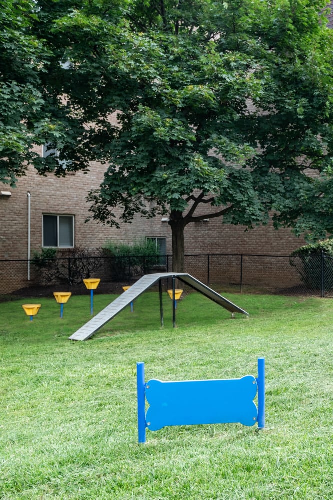 Fenced dog park with agility courses at The Willows Apartment Homes in Glen Burnie, Maryland
