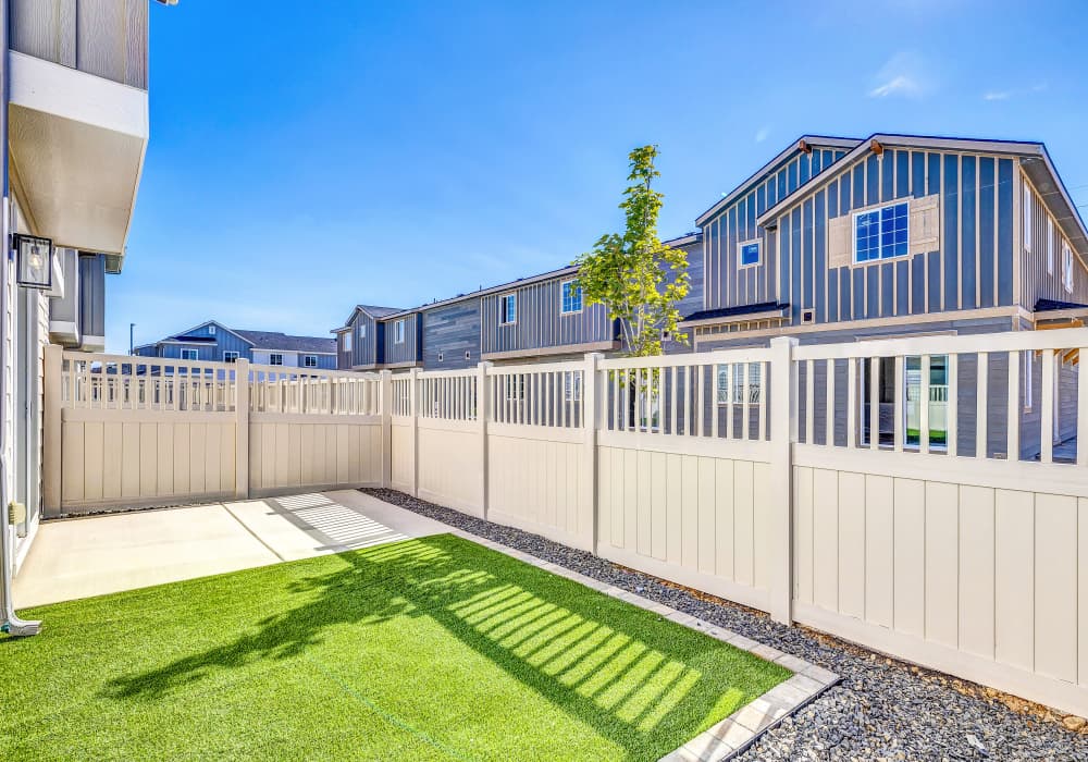 Backyard space 