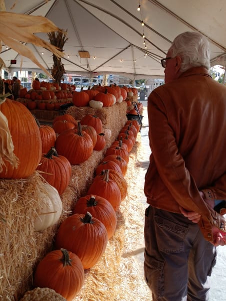 Clovis residents visited their local pumpkin patch to pick out their very own pumpkins!