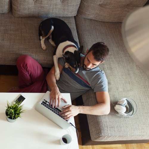 A resident working on his computer with a dog at Wire Mountain III in Oceanside, California