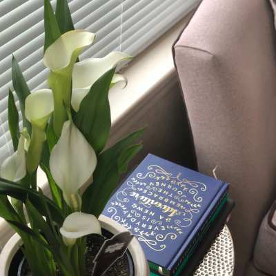 Thriving plants on a custom wood burl windowsill at Lofts at Square 45 in Allendale, Michigan