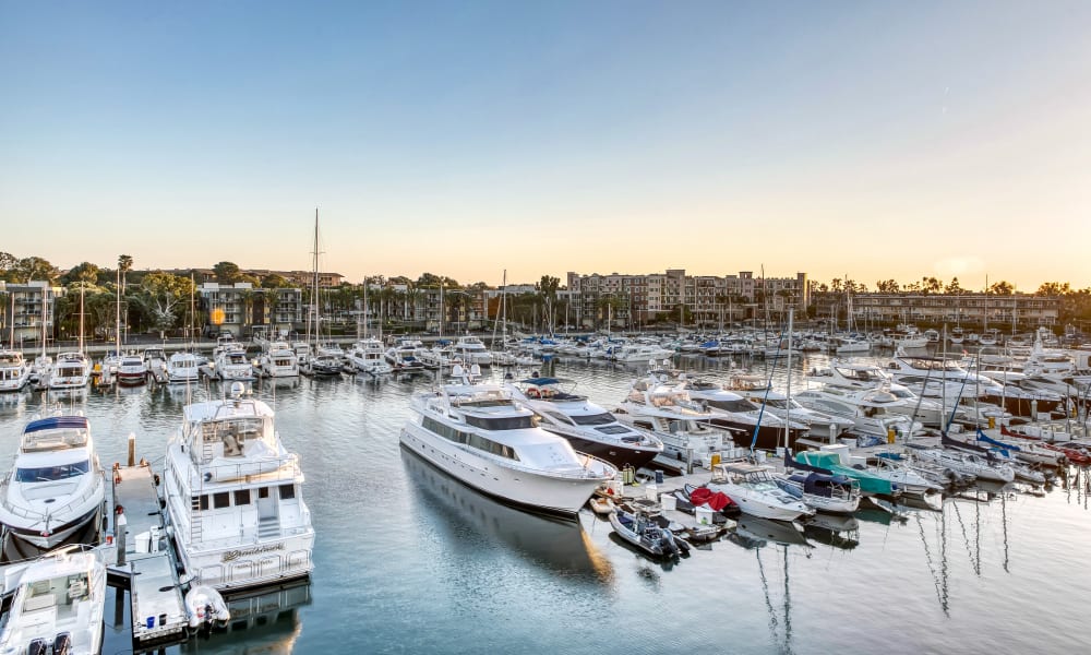 Harbor at Marina Harbor in Marina del Rey, California