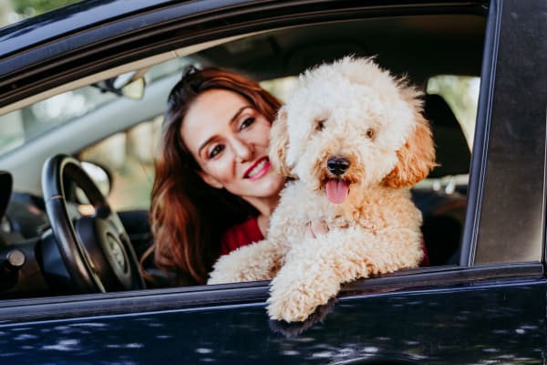 Woman and dog in car