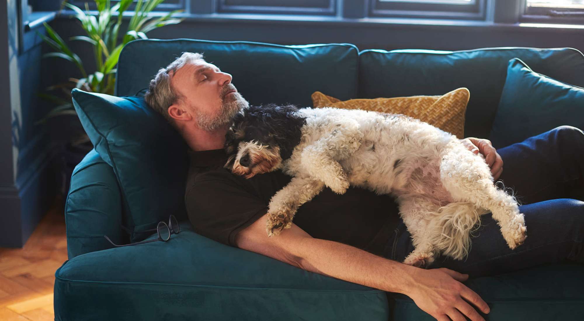 Pet Friendly | The Griff in Charlotte, North Carolina