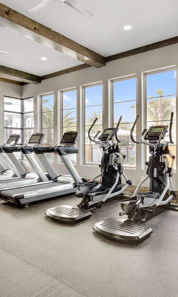 Full sized state of the art fitness center at Steele Creek in Jacksonville, Florida